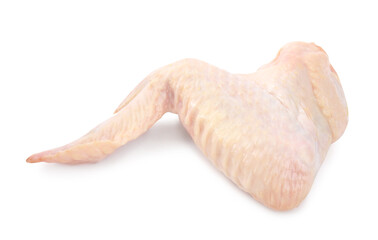 Raw chicken wing isolated on white. Fresh meat