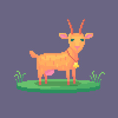 Pixel art goat. Farm animal for game design.