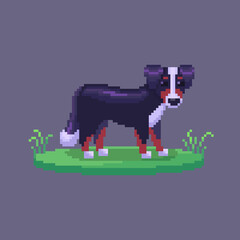 Pixel art dog. Farm animal for game design.