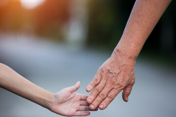 Parents holding little children's hands at sunset