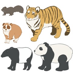 アジアの動物①