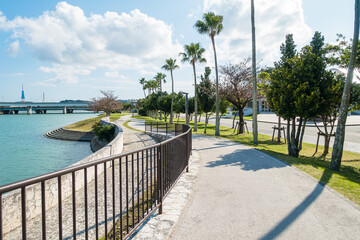 Pedestrian trail in the park next to the river in sunny weather