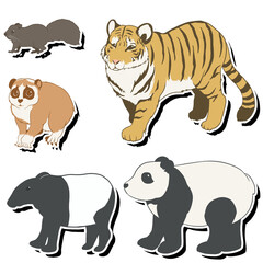 アジアの動物①白フチ