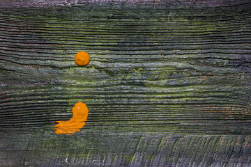 A semicolon punctuation mark painted in orange paint on an old wooden board.