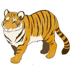 アムールトラ①線画