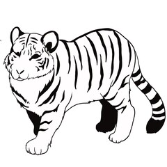 アムールトラ①線画