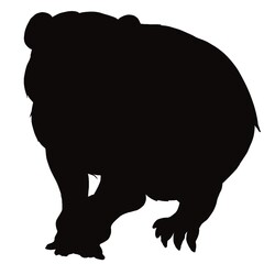 スローロリス①シルエット