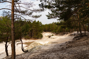 Fototapete bei efototapeten.de bestellen   