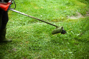 Mows the grass with a hand-held lawn mower. The gardener is cutting the lawn.