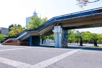Naklejka premium ケヤキの新緑に囲まれた代々木公園イベント広場