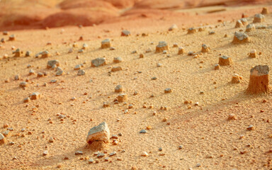red soil on earth just like on the mars