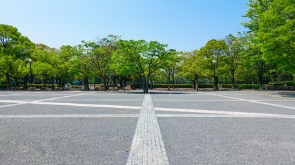 ケヤキの新緑に囲まれた代々木公園イベント広場