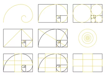 Foto op Plexiglas Golden Ratio spiral scheme of proportions, flat vector illustration isolated. © sabelskaya