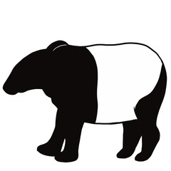 マレーバク①線画