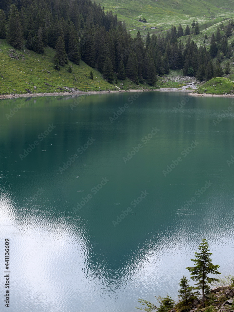 Wall mural bannalpsee