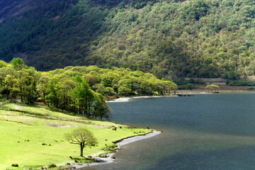 Dappled sunlight on the shore of Buttermere