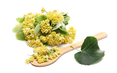 Linden flowers with leaves and wooden spoon isolated on white background