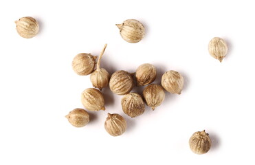 Coriander seeds isolated on white background, top view macro