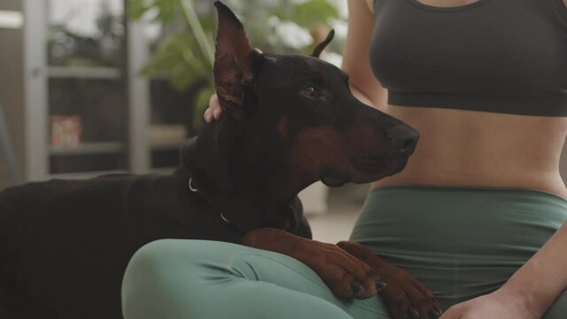 Locked-down of unrecognizable woman wearing mint leggings and cropped top, sitting on floor at home, petting her big Doberman dog