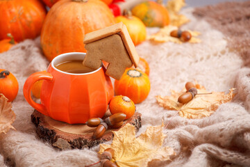 Cup of Pumpkin Spice Latte with Seasonal Autumn Spices, Gingerbread house Cookies and Fall Decor from fresh orange pumpkins. Traditional Coffee Drink for Autumn Holidays, cozy, home comfortable