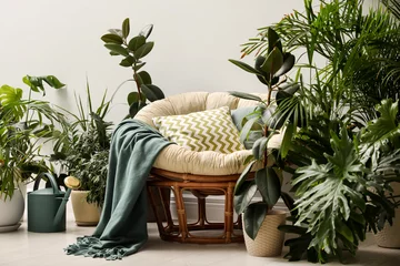 Foto op Canvas Lounge area interior with comfortable papasan chair and houseplants © New Africa