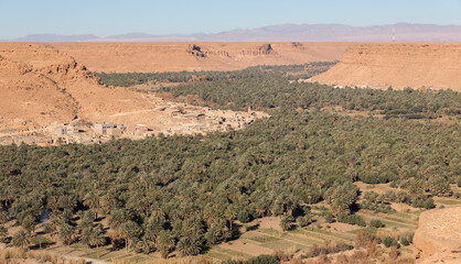 Oasis in the desert