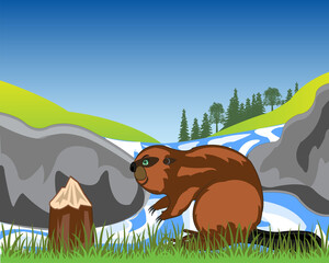 Animal beaver on background of the wild nature © santa43