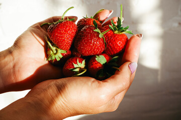 Vitamin concept. The girl holds a handful of delicious red strawberries in her palms. Photo with...