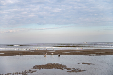 Low tide period on yellow sandy beach in small Belgian town De Haan or Le Coq sur mer, luxury vacation destination, summer holidays