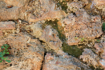 natural brown stone and green moss
