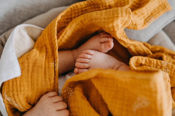 Closeup of newborn baby feet, covered with yellow blanket. - obrazy, fototapety, plakaty