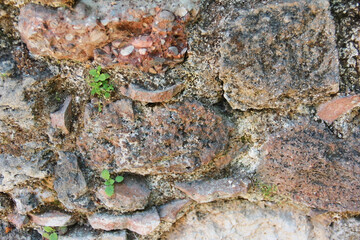 natural brown stone and green moss