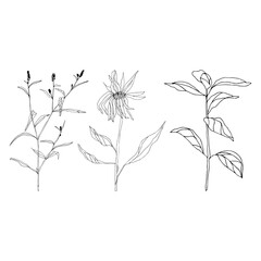 Leaves and plants hand drawn flat illustration. Botanical design elements. Vector sketch clip art set.