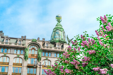 Naklejka premium The dome of the building Zinger under a branch of lilac flowers in St. Petersburg