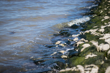 Welle trifft auf Küste