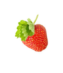 Red strawberry isolated