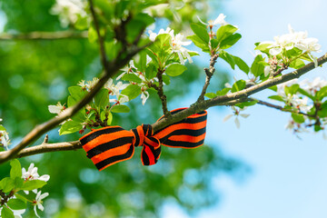 St. George's ribbon as a symbol of victory on the spring branch Holiday concept