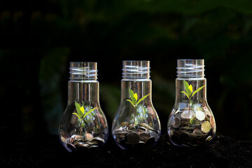 Money saving economy environment.Â  Plants growing in money coins in glass jar for investment planning travel and retirement. Nature Background.Â  Saving and Investment Concept