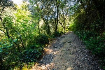 Spring in Salt Dels Murris waterfall, La Garrotxa, Girona, Spain