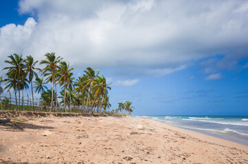 white sandy beaches on the island with coconut palms above the sea waves	