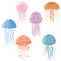 Set of multicolored jellyfish isolated on a white background, color vector illustration