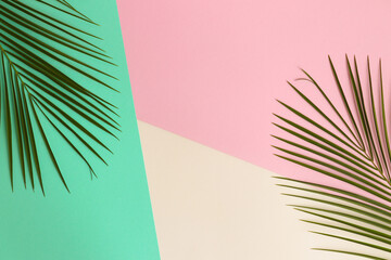 Summer flat lay. Palm leaves on a pink, green and beige texture with copy space. Top view....
