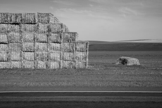 Large stack of hay bales, black and white