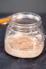 Wheat sourdough starter