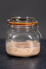 Wheat sourdough starter
