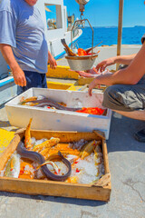 Greece Santorini island in Cyclades, Ammoudi village with fishing boats and fresh fishes in boxes from fishermen - 441160873