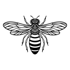 Vector honey bee. Insect silhouette. Template for paper cutting, printing on a T-shirt, mug. Flat style. Hand drawn decorative element for your design. Isolated on white background.