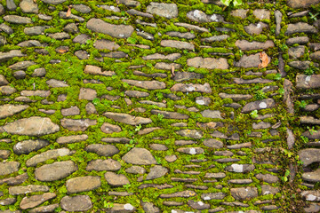traditional cobblestone path with weeds and moss growing in the cracks with different texturs and...
