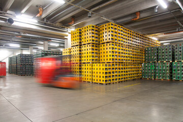 Warehouse, cartons and boxes of beer
