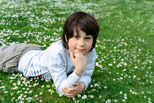 Adorable kid boy laying on the grass with daisies flowers in the park in warm summer day. Child dreaming and smiling.